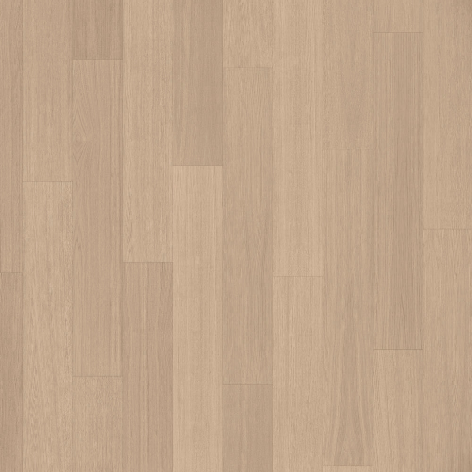 Désert Dual deluXe +