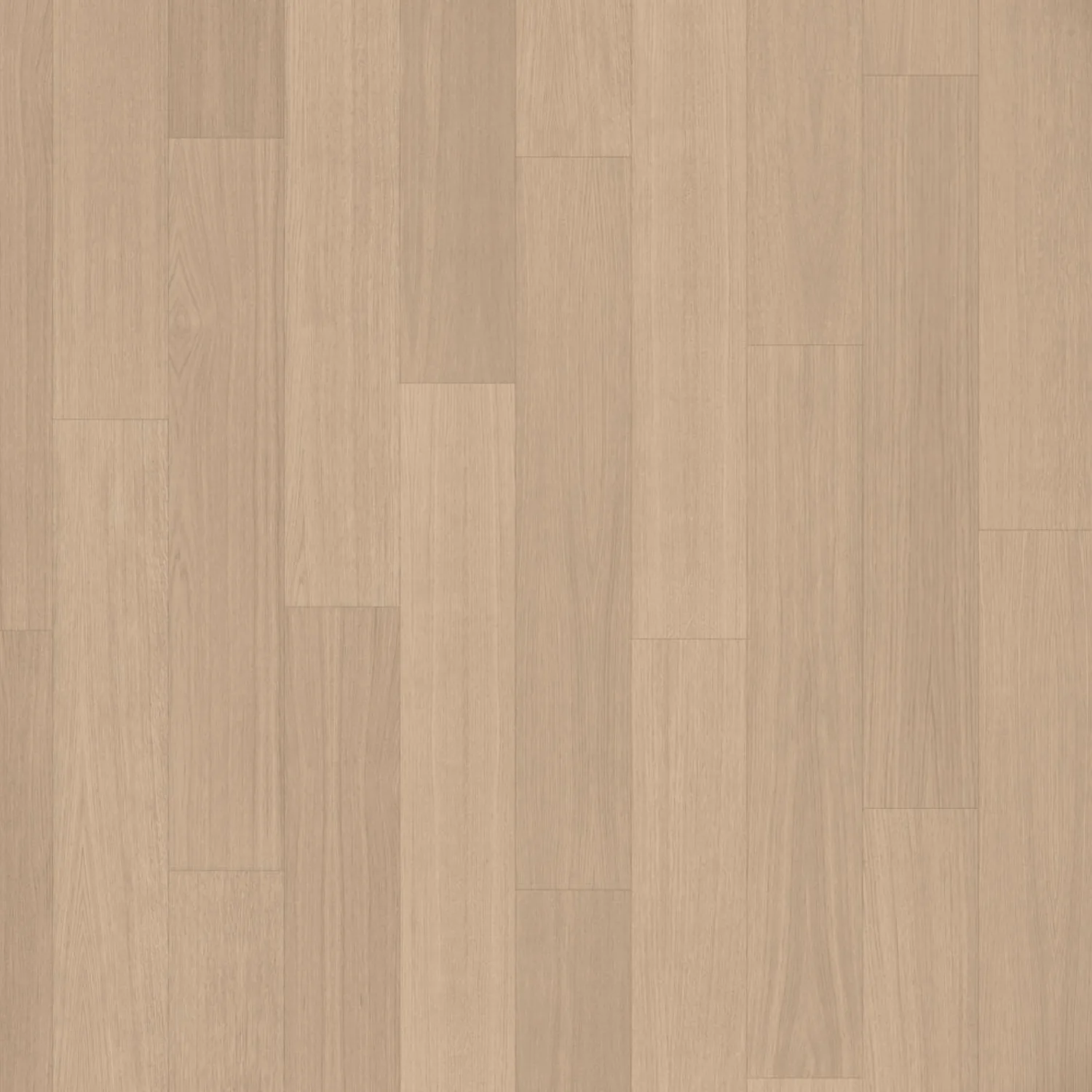 Désert Dual deluXe +