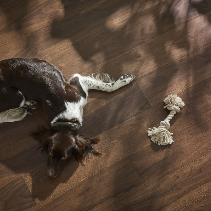 Smoked Walnut PRO view 2