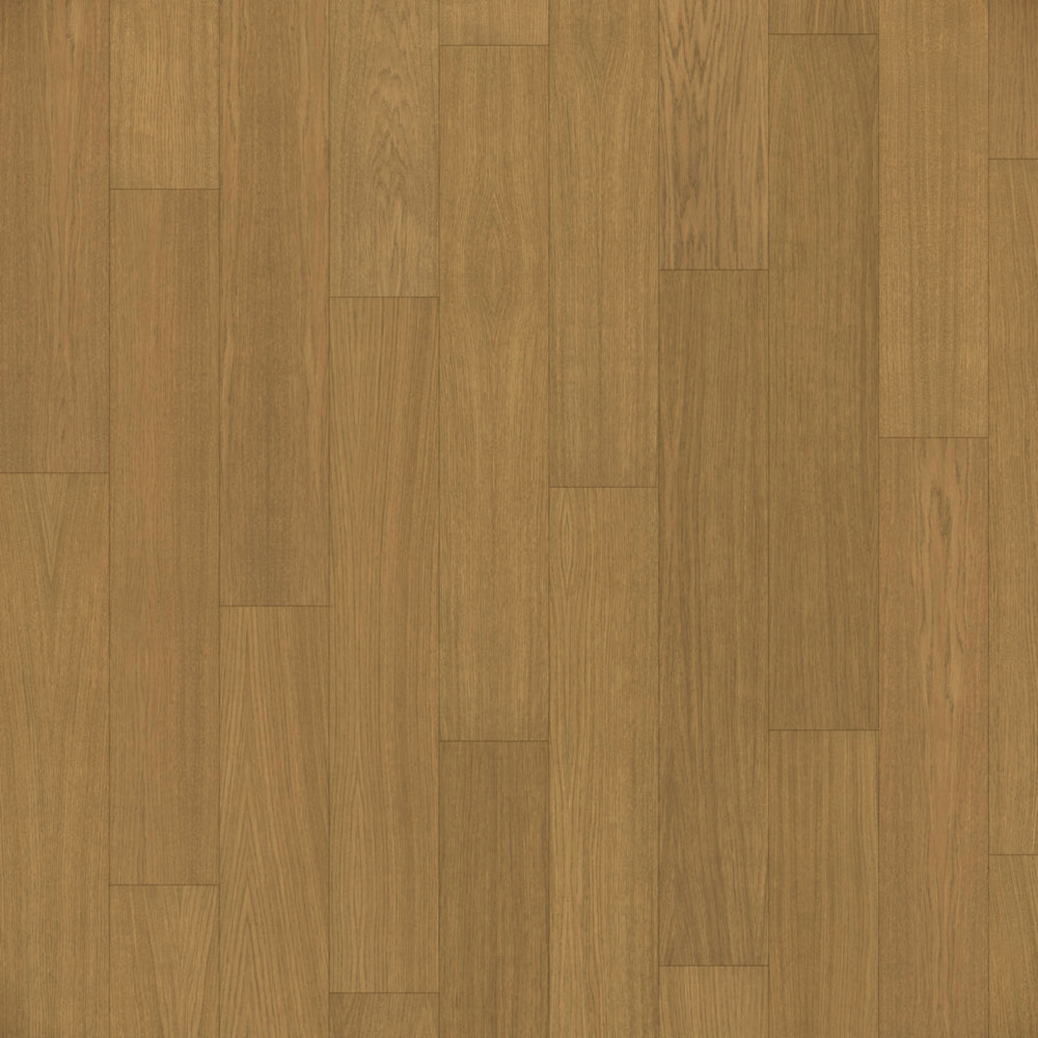 Sahara Rustic Light Pro