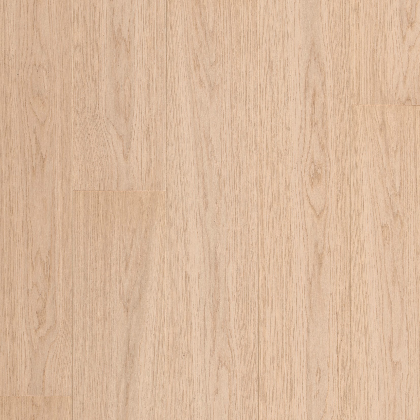 Silk Oak Premium MASTER 06