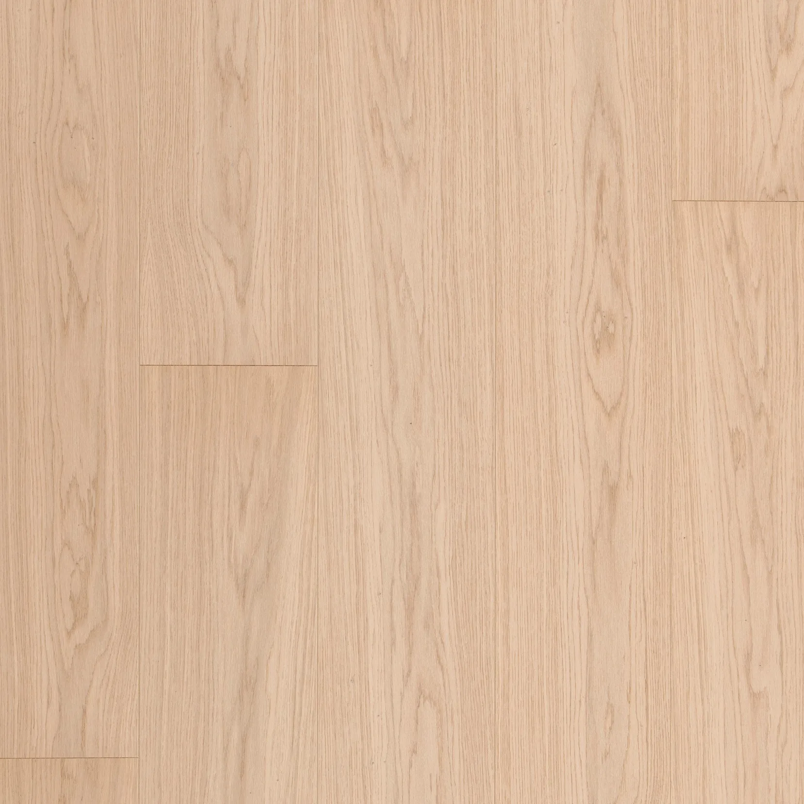 Silk Oak Premium MASTER 06